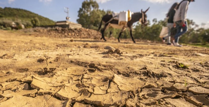 جفاف تونس مياه القايدي