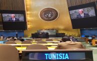 طارق الأدب الأمم المتحدة تونس
