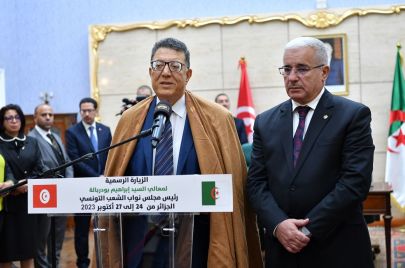 برلمانا تونس والجزائر ينددان بجرائم الاحتلال