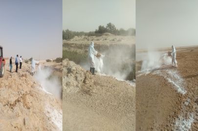 حمى غرب النيل في تونس
