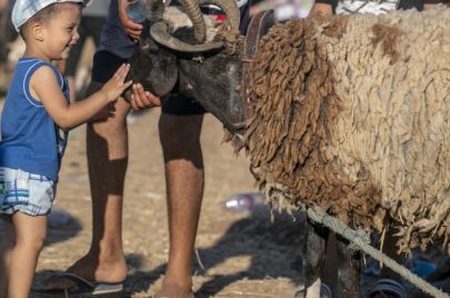 عيد الأضحى ياسين القايدي الأناضول 