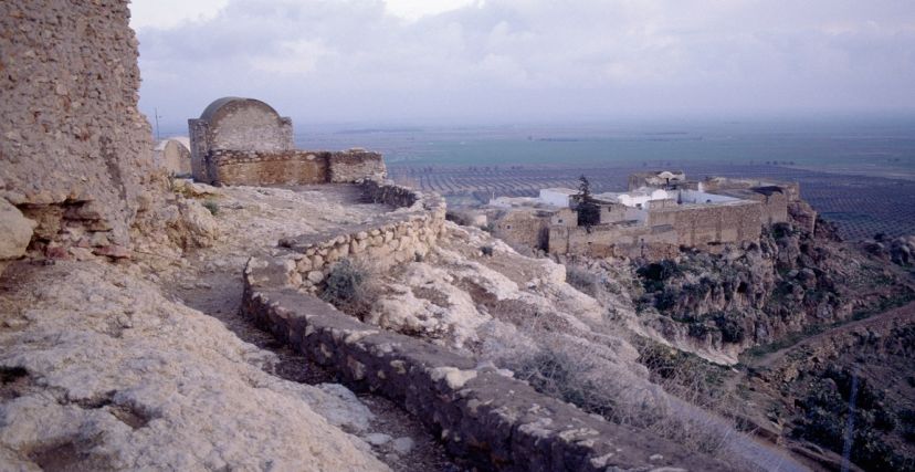 تكرونة