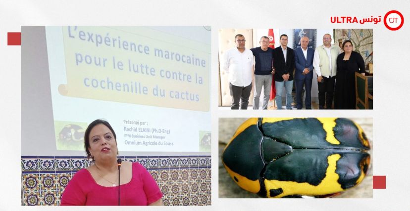صاحبة مخبر لتربية الحشرات النافعة واجهتُ بيروقراطية في إدخال الدعسوقة المغربية