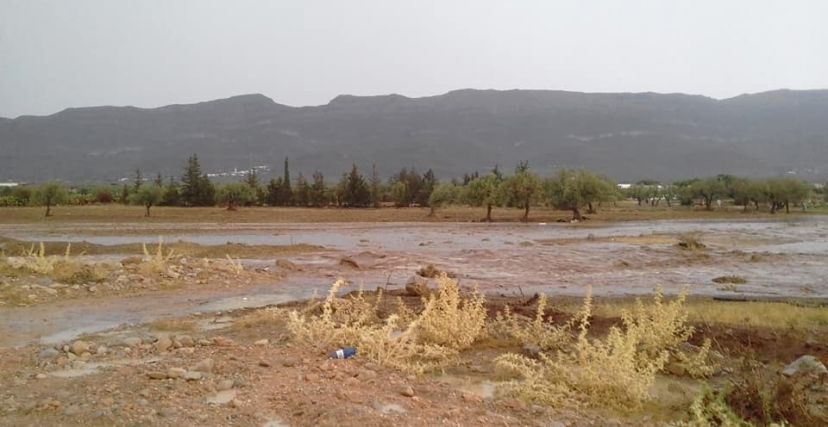 غسّالة النوادر.. غيث الصيف الممهّد لبداية موسم الأمطار في تونس